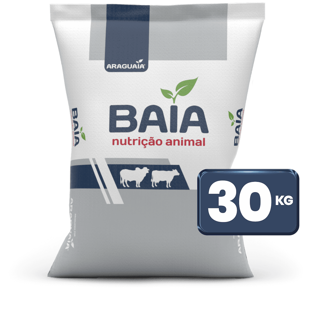 BAIA CONF 3