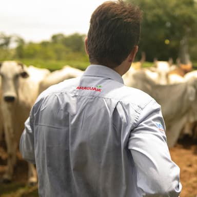 Imagem do benefício Suporte Técnico Especializado